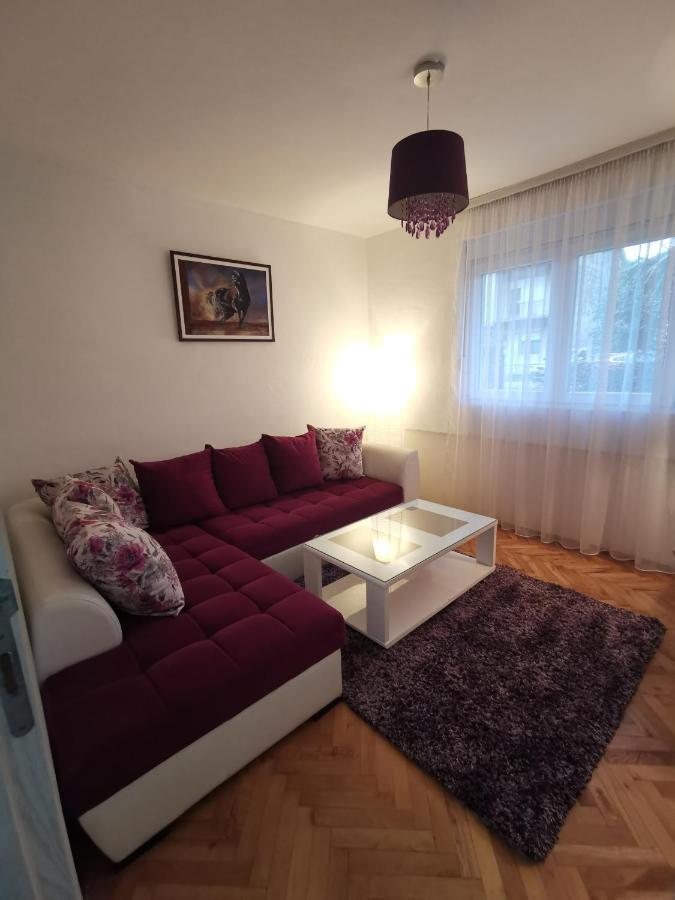 Art Apartment พอดโกริกา ภายนอก รูปภาพ